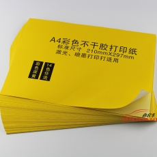 国产 Domestic 不干胶标签（A4 光面 黄色） 50张/包