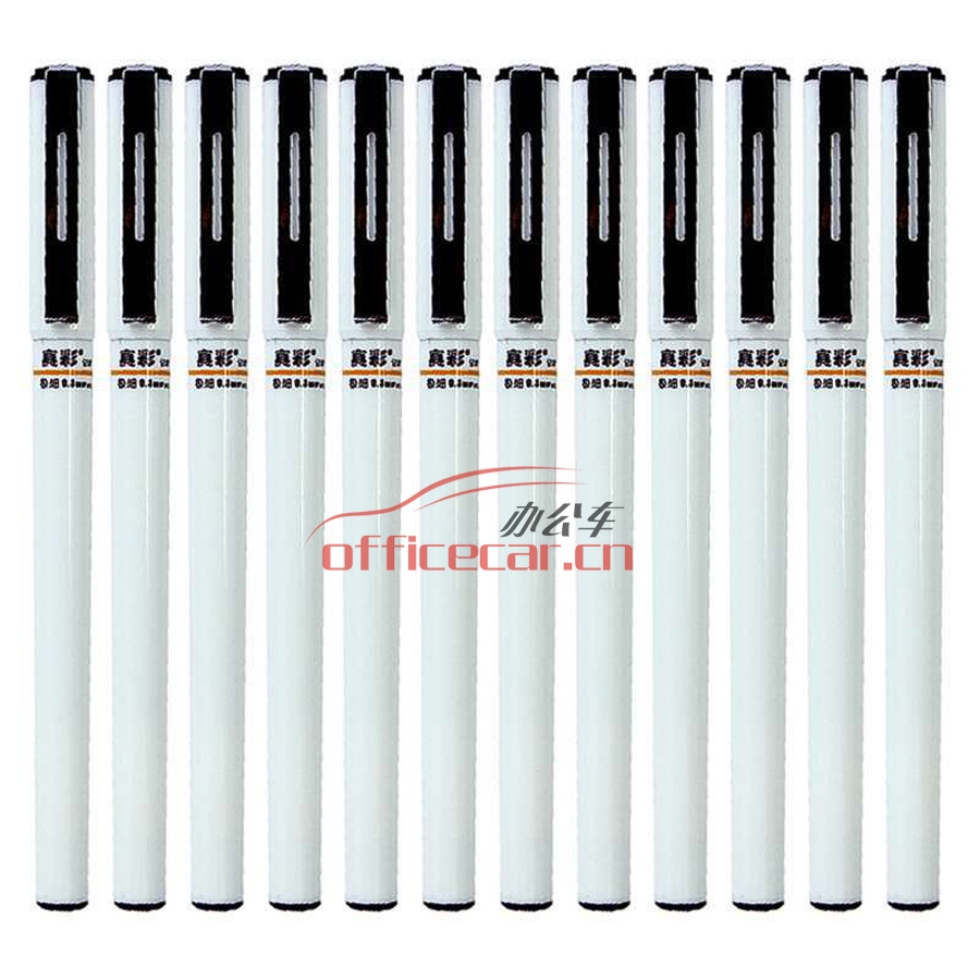 真彩 Truecolor 0251A 极细记账中性笔 0.3mm  黑色 12支/盒
