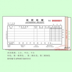 主力 BRUNT 0504 三联多栏收据 48开 20本/封