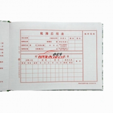 立信 L.X 出纳日记账 100页