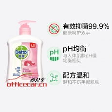 滴露 Dettol 健康抑菌洗手液 500ml/瓶