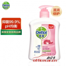 滴露 Dettol 健康抑菌洗手液 500ml/瓶 12瓶/箱 (滋润倍护)